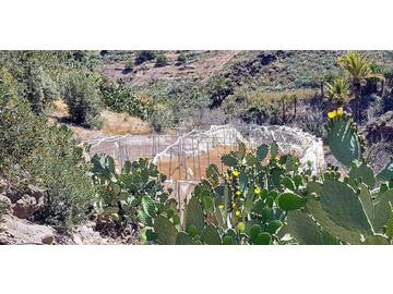 San Bartolomé de Tirajana (Interior)